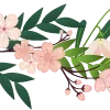 🌸