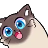 🐱