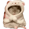 🐹