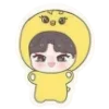 🐥