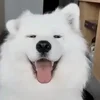 😄