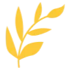 💛