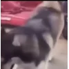 😁