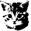 🐱