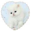 🐱