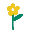 🌼