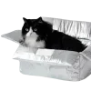 🐈‍⬛