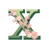 🔠