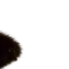 🤩