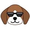 😎