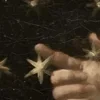 🖼️