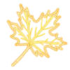 🍁
