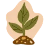 🌱