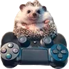 🎮
