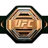 🥊
