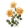 💐