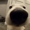 😉