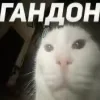 😏