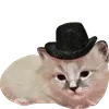 🎩