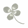 🍀