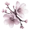 🌸