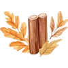 🍁