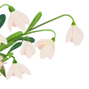 🌸