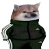 🐶
