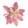 🌷