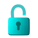 🔒