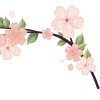 🌸