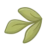 🌱