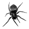 🕷️