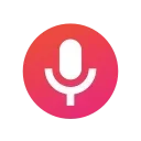 🎤