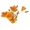 💐