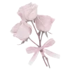 🌸