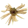 🤩