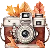 🍁