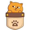 🐈