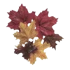 🍁