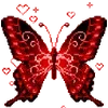 🦋