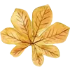 🍁