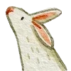 🐰