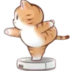 🐱