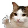 👍