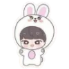 🐰