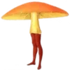 🍄