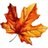 🍁