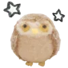 🦉