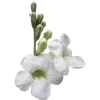 💐